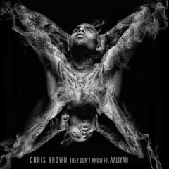 Chris Brown ft. Aaliyah - They Dont Know