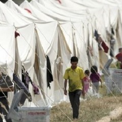 بخيام الشقا لاجئ