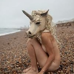 Bunnies And Unicorns