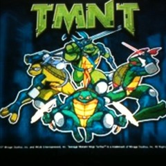 Tmnt Fast Forward