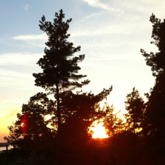 PSB X O: Vocal (northern testing laboratories electric summer mix)