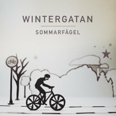 Wintergatan- Paradis