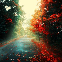 'Autumn Colours' - Chillstep Mix