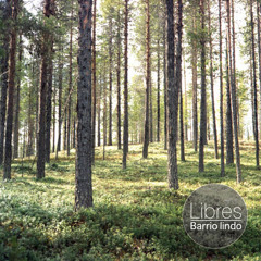 Barrio Lindo "Libres"