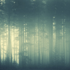 GrizzlyMix - Last Exit Troja