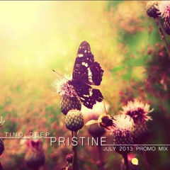 Tino Deep - Pristine [July 2013 Promo Mix]