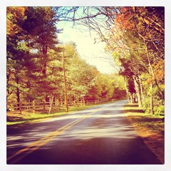 Donna Donna (traditional)