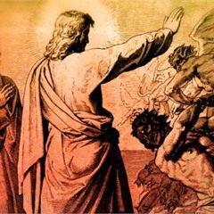 Last Transmission to the Rebellion