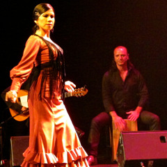 Rumba Flamenca Funk