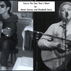 You're The One That I Want feat. Elizabeth Davis