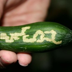 تسجيلات الصوتية لقادة القسام المجرمين