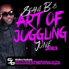 Seani B's Art Of Juggling June 2013