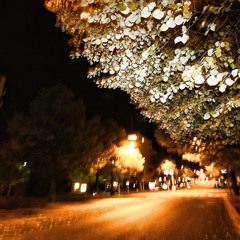 Teemu T - Road after the Rain