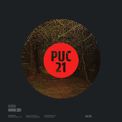 PUC 21
