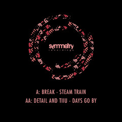 Detail & Tiiu - Days Goes By [symm013] 15.07.13