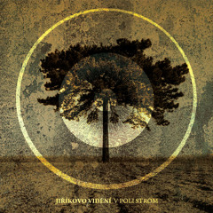 JIRIKOVO VIDENI - Na konci cesty / Radio Edit, 2013, CD, V poli strom