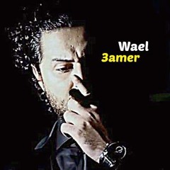 قررت اكون اخوانى | Wael 3amer