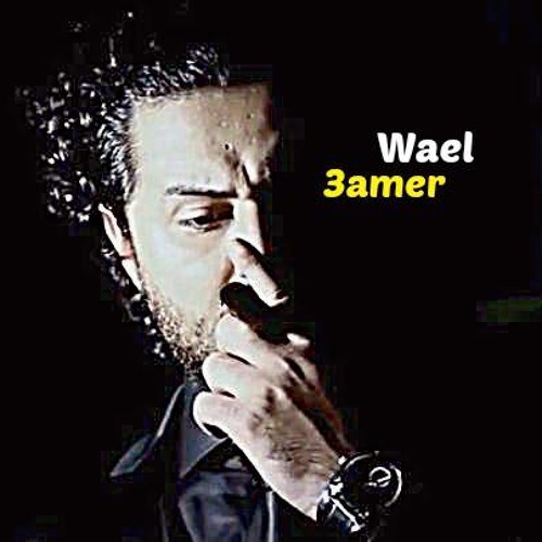 قررت اكون اخوانى | Wael 3amer