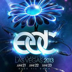 Knife Party - Live @ Electric Daisy Carnival (Las Vegas 23-06-2013)