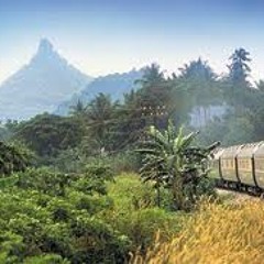 Asian Train