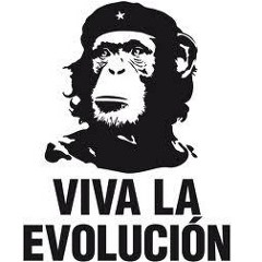 Teoria Da Evolução (Demo)