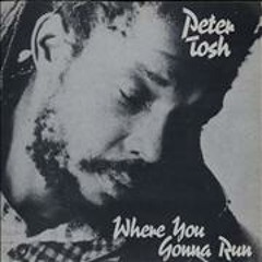 Peter Tosh "Where You Gonna Run" (Extended)