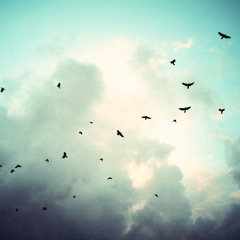 Ambient Mixtape Vol. 5