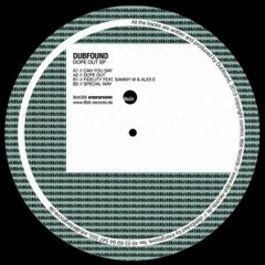 Sammy W, Alex E, Dubfound-Fidelity Dub (Andy Shaw Vocal Edit)