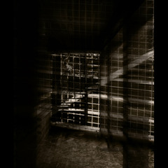 Senior-MightyMouse Walkout Fight Song