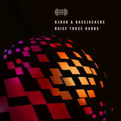 R3hab & Bassjackers - Raise Those Hands (original mix)