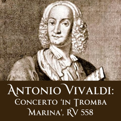 Vivaldi: Concerto con molti istromenti, RV 558 - 1. Allegro molto (2013.06.29)