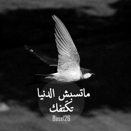 Hamza Namira Alaa Bab Allah