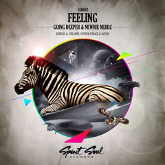 Going Deeper & Newbie Nerdz - Feeling (Original Mix) [SSR002]