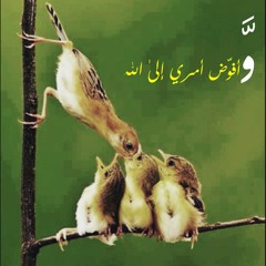 أنشودة فوضت أمري إليه ~