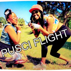 pussy flight