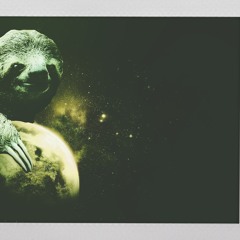 Sloths In Space