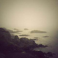 Foggy Dew