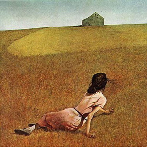 Christina's World (inspired by the painting by Andrew Wyeth)