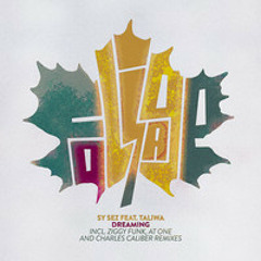 Sy Sez Feat Taliwa Dreaming (Charles Caliber Remix)