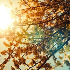 Ya Helw Sabah يا حلو صبّح عود