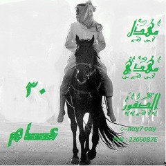 مهذل بن مهدي ال صقور     ثلاثين عام