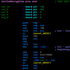 Inner Decryption (1995)