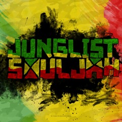 DJ Flys X1 - Jungle / Dnb (ragga Drum and Bass)