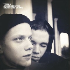 Tomas Andersson Wij  - Sturm und Drang (Moist Geniezeit Mix)