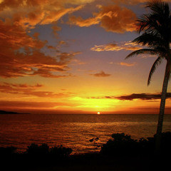 Warm Breeze Ft.Shannon McKinley [Free download in description]