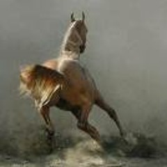 KAHAYLA (York Guildhall Orchestra) Live 2nd perf