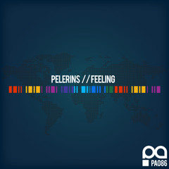 Pelerins - Feeling (Phunktastike Love Mix)