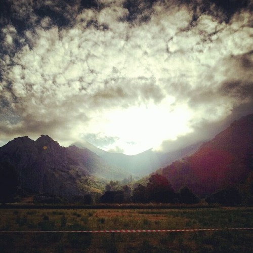 Cocoon Recordings - part 2