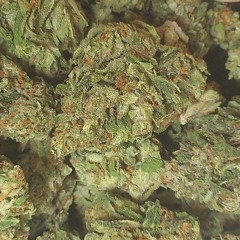 We Get High Ft Acee-Ville Of The IinterCepterZ &  The Chiken  Beat By The Table Damager(Demo)