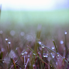 Sergey Alekseev feat Ange - it's morning (Deepshader Remix)